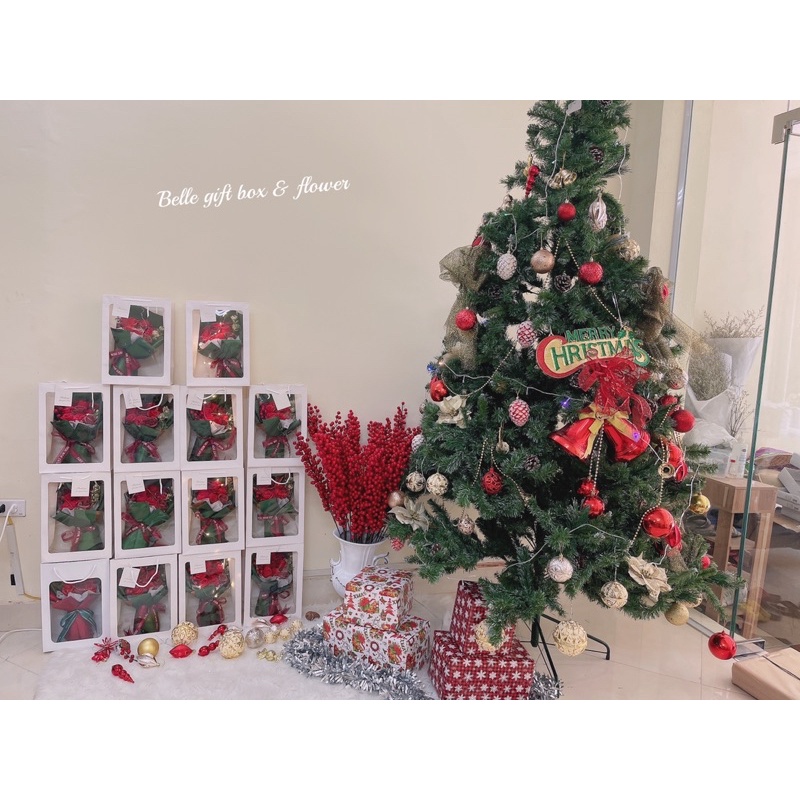 Túi hoa ngày Giáng sinh, noel tặng kèm túi thiệp đèn