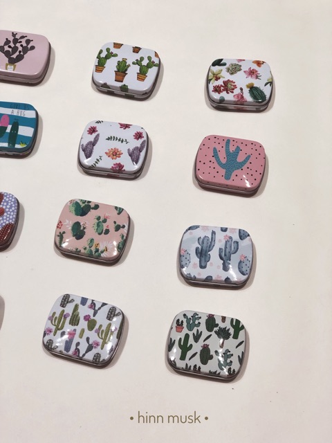 Hộp sắt mini xương rồng