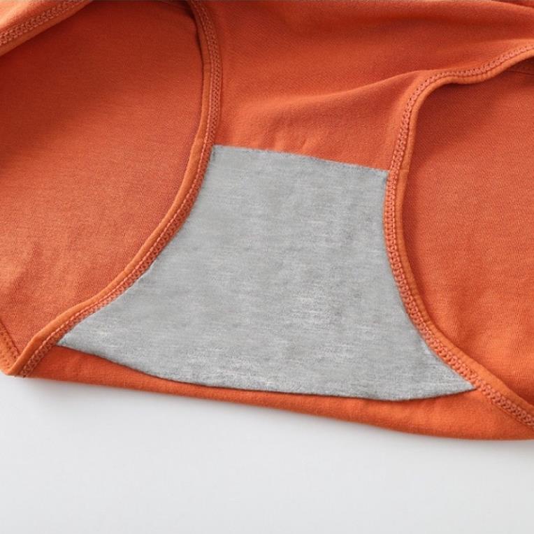 [Giá sỉ] Quần Lót Nữ Cotton Cạp Vừa, Thoáng Mát Thấm Hút Kháng Khuẩn 623 **