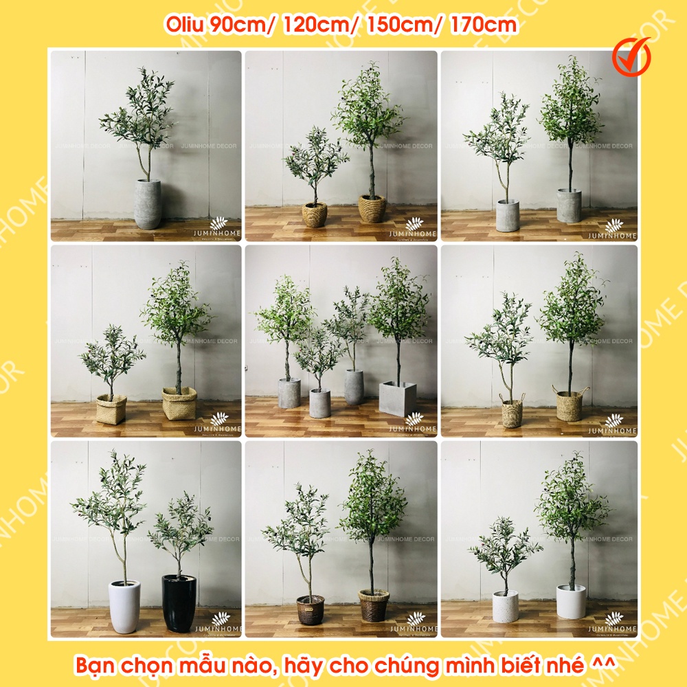 Cây oliu giả, cây olive giả - Cây giả decor trang trí nhà cửa nội thất phòng khách phòng ngủ