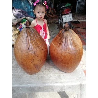 Vỏ ấm trà trái dừa nhà làm