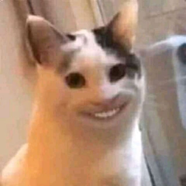 hungpltn20
