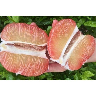 Bưởi Da Xanh #200k / 10 quả