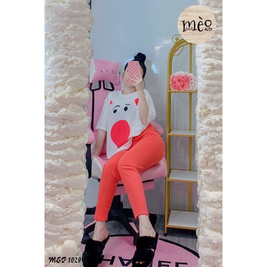 [Chuyên Sỉ] Bộ thun heo hồng quần legghing dài, vải cotton mềm mịn và quần co dãn dày dặn.