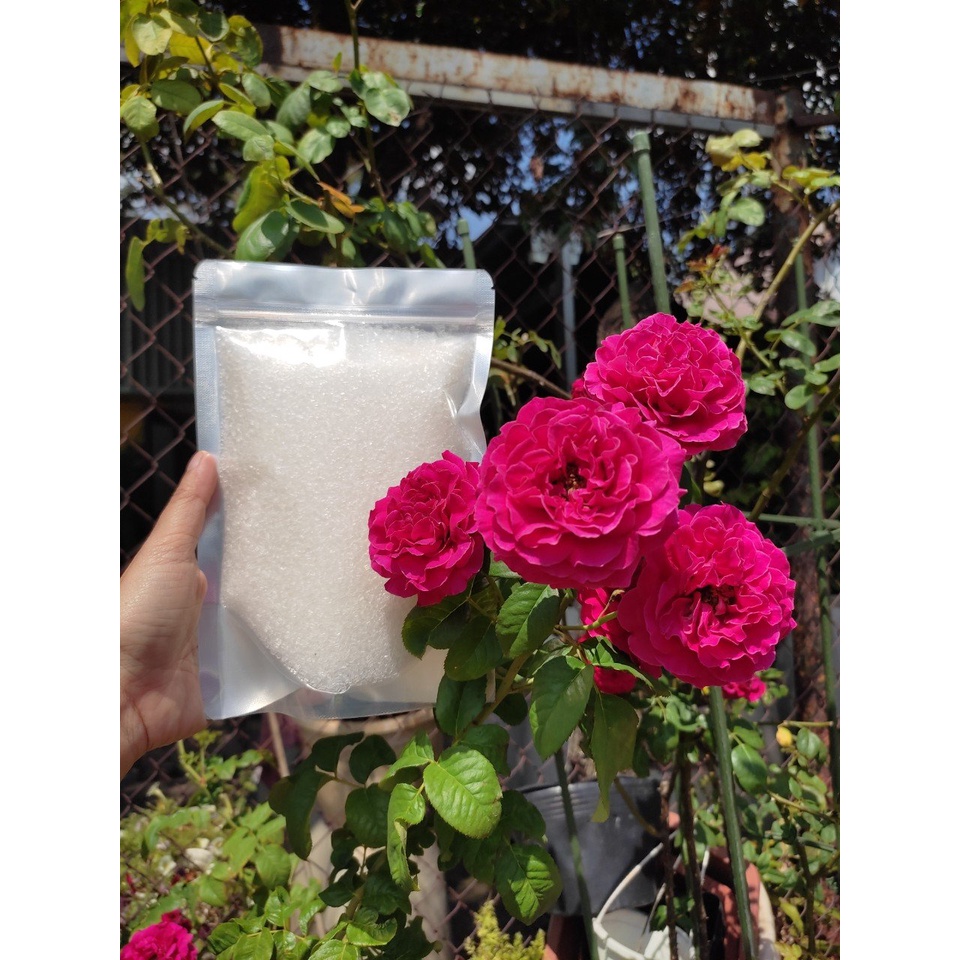 Muối epsom cho cây, 500gr, MgSO4.7H2O, phân trung lượng, Giúp cây xanh lá – tăng sức chống chịu sâu bệnh