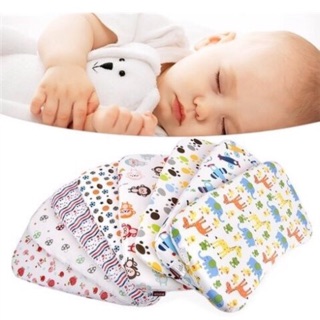 Trọn bộ áo gối & ruột gối cao su non cao cấp cho bé (hàng XK Nhật Bản - Hàn Quốc loại 1)