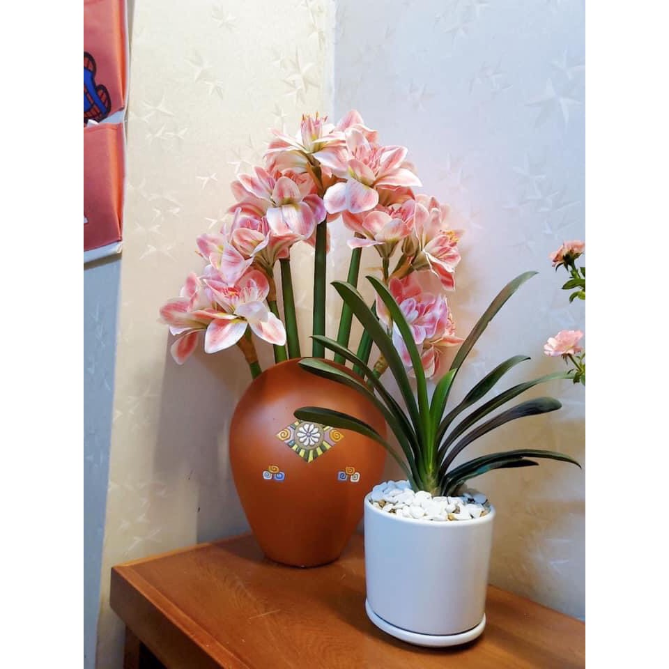 Hoa huệ tây sẵn 2 màu hàng loại 1 chuẩn đẹp