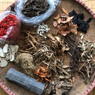 Bột đông y chữa xương khớp, thoái hoá