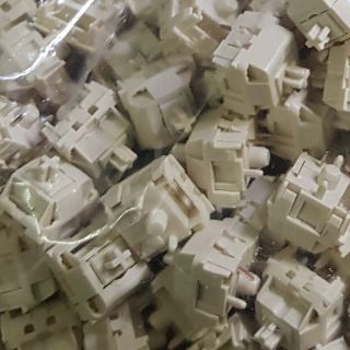 Novel Cream - Công tắc bàn phím cơ