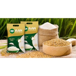 10kg gạo đặc sản sóc trăng (ST21)