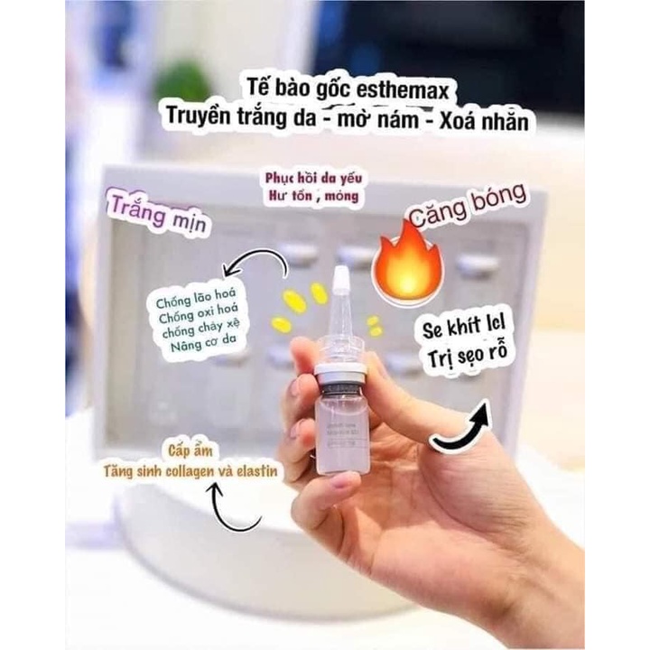 Tế bào gốc truyền trắng esthemax