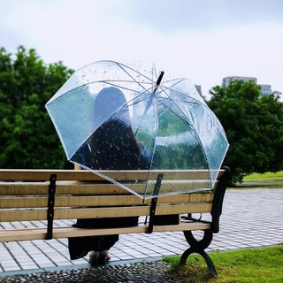 Ô, Dù Đi Mưa Nắng Trong Suốt