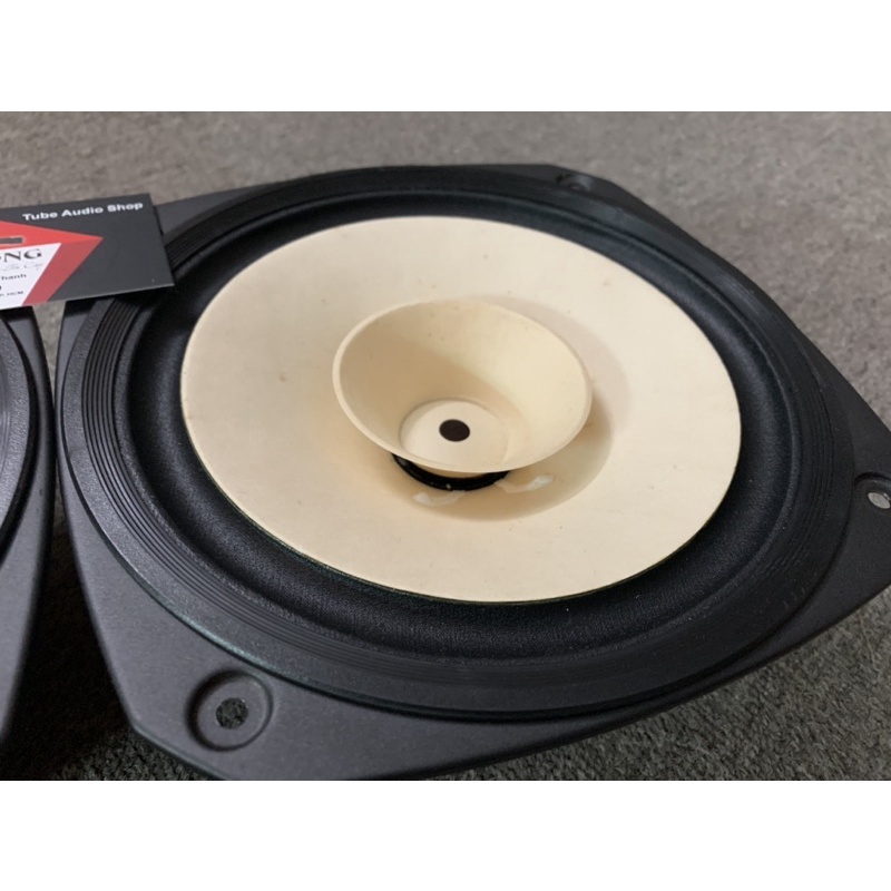 Loa toàn dãi Fostex FE206E