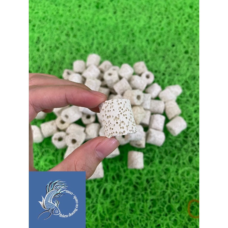 Sứ Lỗ Lọc Nước - Sứ Viên