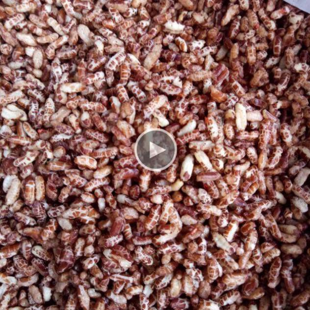 500g gạo lứt sấy giòn ngon - Healthy