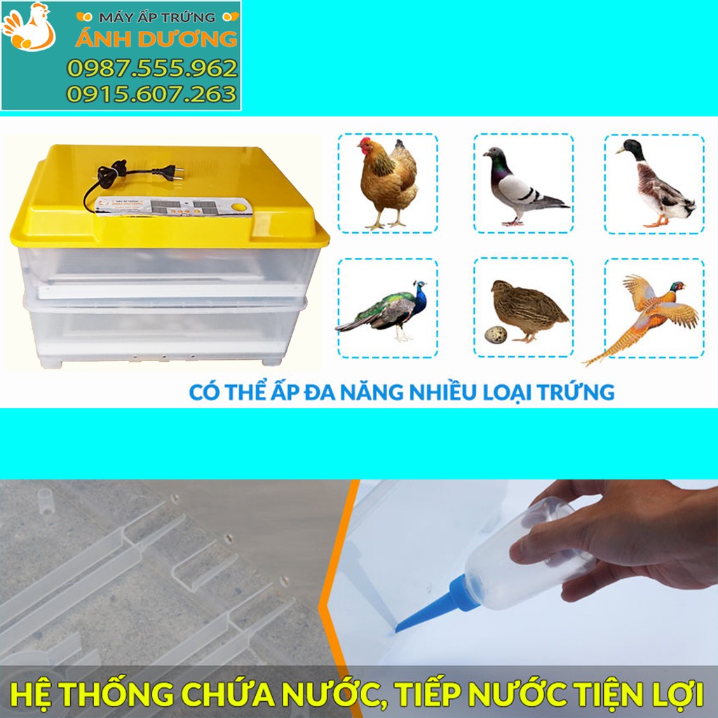 Máy ấp trứng tự động 50 trứng gà, vịt, câu, cút - khay nhôm đảo lăn - Lắp ráp sẵn + tặng kèm gói úm + bình châm nước