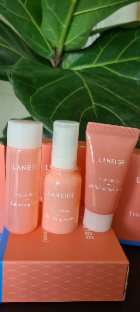 Set Dưỡng Da Mini Laneige Fresh Calming Trial Kit