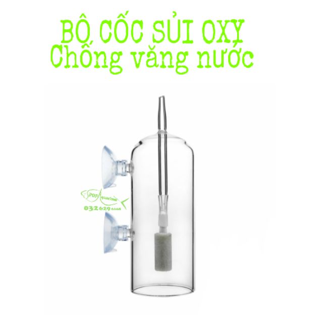 Cốc sủi oxy chống văng nước cho bể cá , bể thuỷ sinh bằng thủy tinh