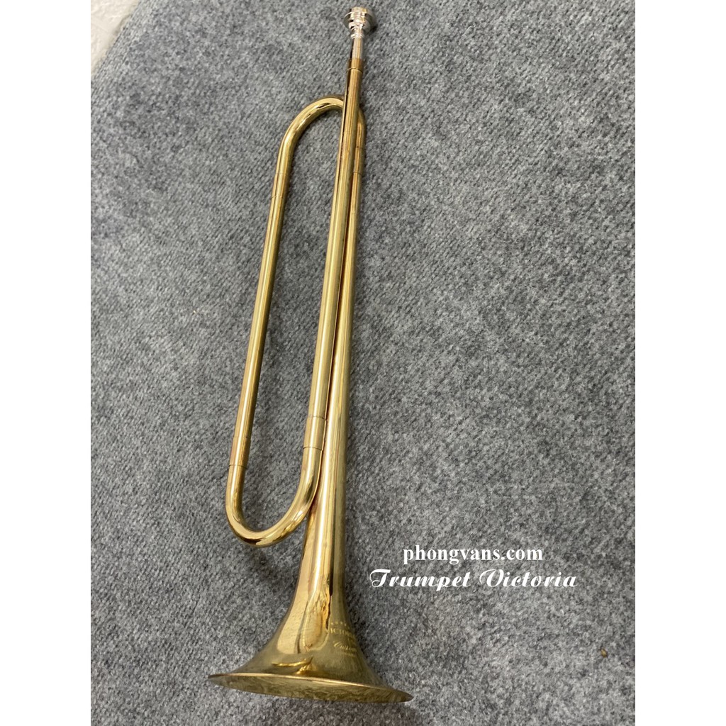 Kèn trumpet đồng vàng không phím bấm nhạc cụ kèn trường học