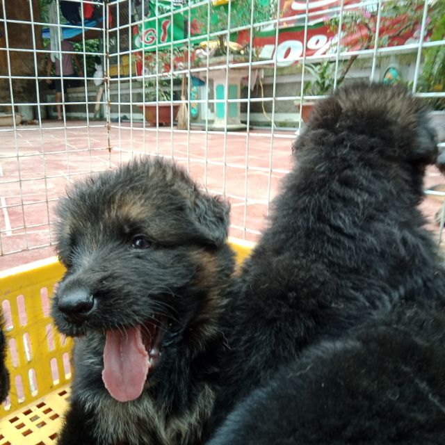 Combo quần áo từ thiện C ân Phước