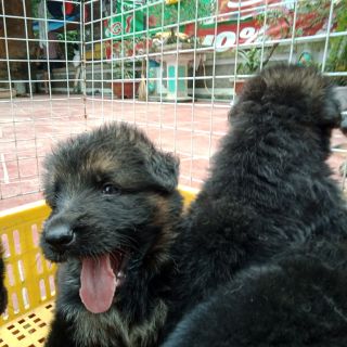 Combo quần áo từ thiện C ân Phước