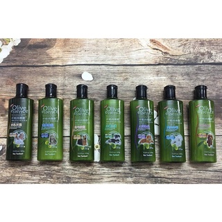 Sữa tắm Olive cho chó mèo