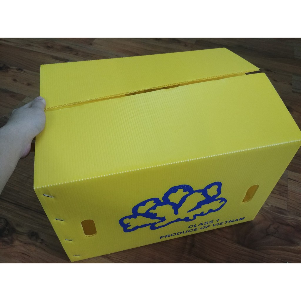 Thùng Nhựa Danpla Đựng Nông Sản