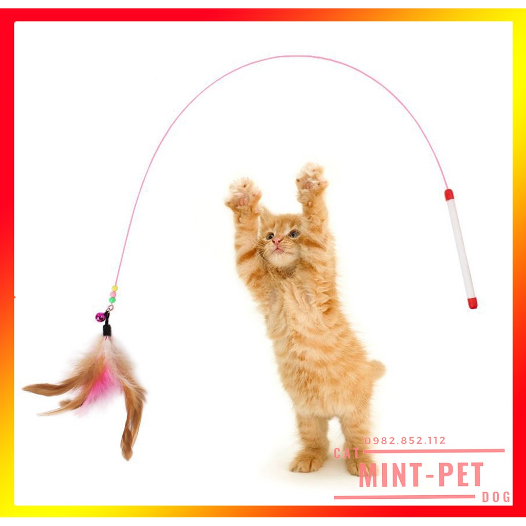 Cần Câu Mèo Dây Thép Giá Rẻ #MintPet