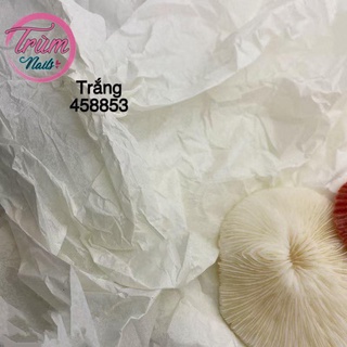 Giấy nhăn làm background chụp ảnh