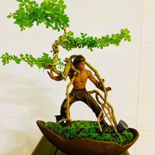 Tượng bonsai Lý Tiểu Long