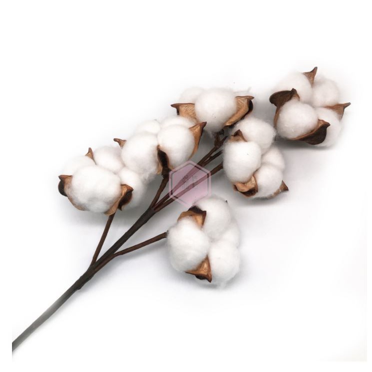 Cành Bông Gòn Khô - Hàng Loại 1 Thân Sắt Mảnh, 1 - 6 Bông Đều Cánh - Mô Phỏng Cotton Flower - Chất Liệu Cao Cấp