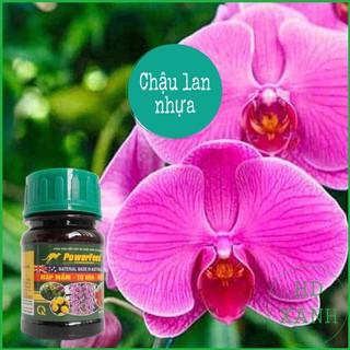 Phân bón hữu cơ kích thích ra hoa powerfeed 100ml