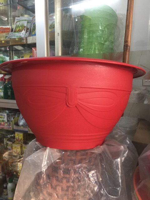 Chậu trồng mai đường kính 38cm