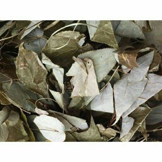 Sỉ lẻ lá dâm dương hoắc khô 250g - 500g