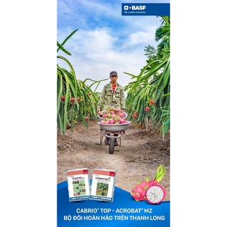 Acrobat MZ đặc trị sương mai, nứt thân , xì mủ