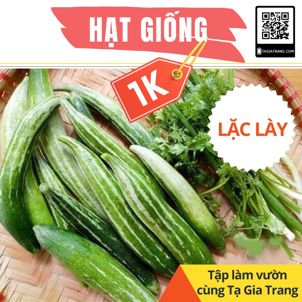 Deal 1K - Hạt giống mướp nhật (lặc lày, lặc lè) - Tập làm vườn cùng Tạ Gia Trang