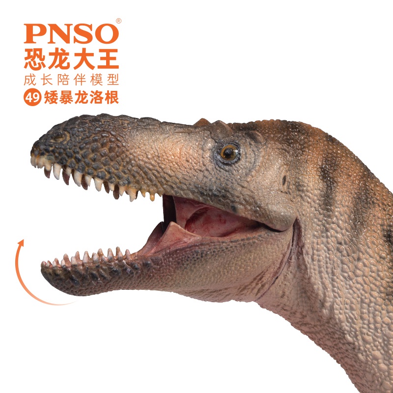 Đồ chơi trẻ em Mô hình khủng long PNSO Khủng long King Tăng trưởng Đi kèm Mô hình 49 Low Tyrannosaur