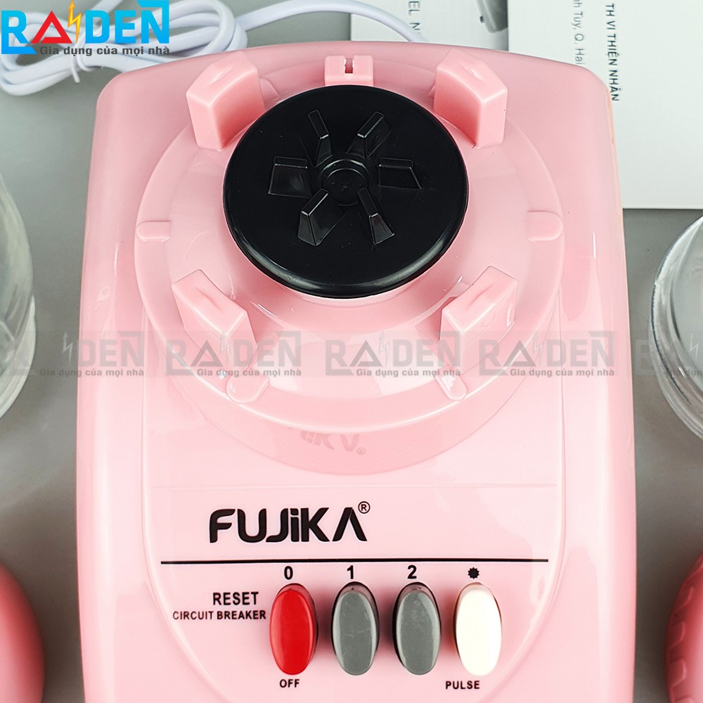 Máy xay sinh tố 2 trong 1, công suất 300W Fujika FJ-9