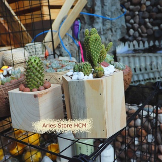 Chậu Gỗ Để Bàn Hình Lục Giác Trồng Sen Đá Xương Rồng