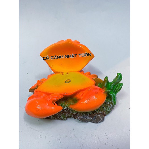 CUA THỔI OXY ĐÓNG MỞ TRANG TRÍ BỂ CÁ NON BỘ DÀI 10CM