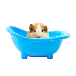 Bồn tắm cho chuột hamster
