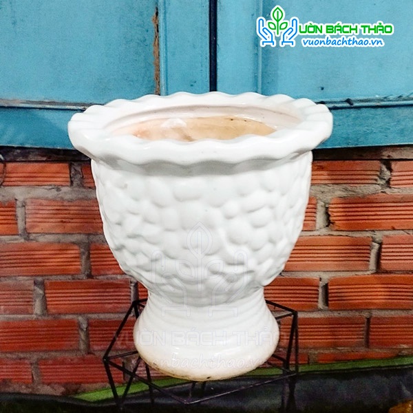 Chậu sứ dạng ly 38x42cm