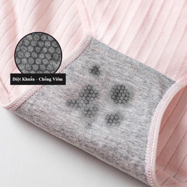 Quần Lót Cotton Pháp Sợi Tre Màng Kháng Khuẩn 225