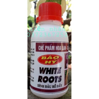 Siêu kích rể white roots