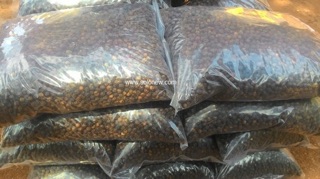 Tiêu hạt daklak 1kg