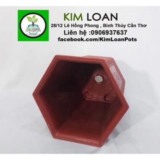 Combo 4 chậu lục giác đỏ 25x25cm