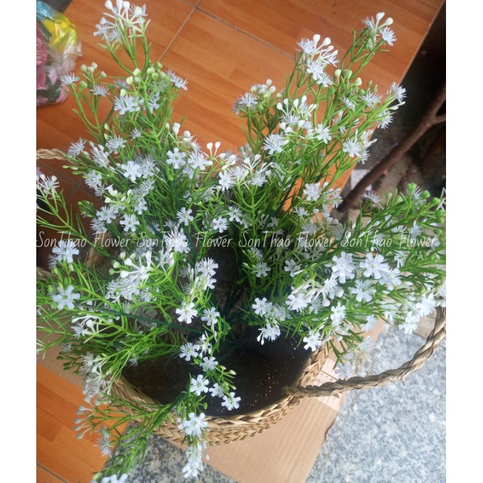 Hoa giả decor hoa giả trang trí baby sao cụm 5 nhánh trang trí nhà cửa