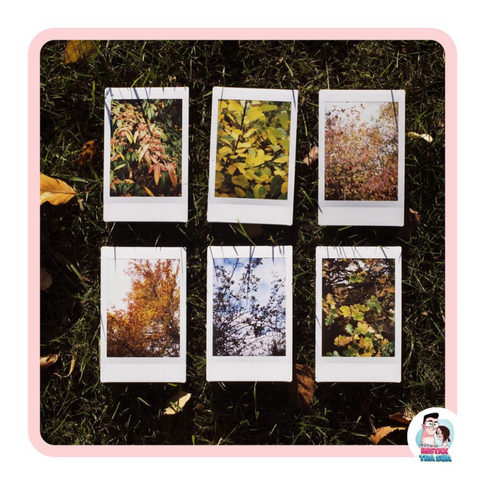 (gg1) T INSTAX MINI FILM - Viền Trắng - Giấy in cho máy ảnh lấy liền Instax Mini Fujifilm - chính hãng Nhật DATE CA0 1