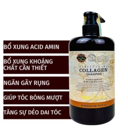 Bộ dầu gội xả Collagen Mefaso 850ml siêu mềm mượt, phục hồi mái tóc hư tổn cao cấp CT02