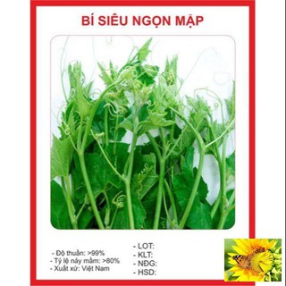 Hạt giống Bí Siêu Ngọn 15 hạt